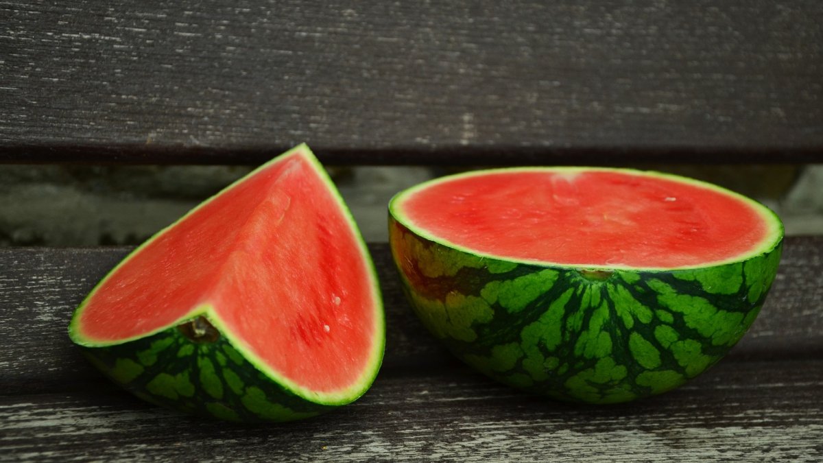 La sandía y el melón siguen teniendo una gran importancia para la horticultura de Almería.