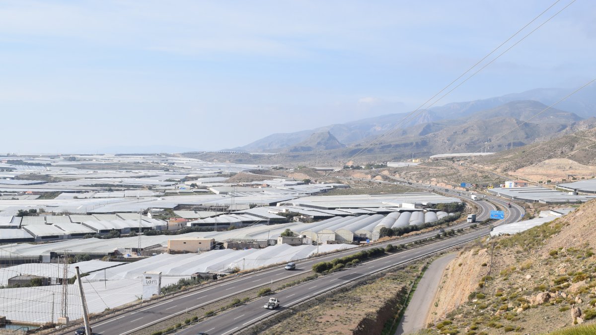 Imagen de la Autovía del Mediterráneo a su paso por el término municipal de Vícar.