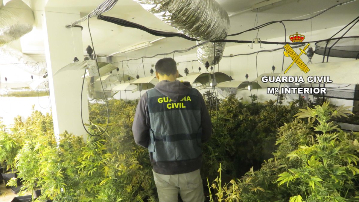 Agente de la Guardia Civil en el interior de la vivienda donde se encontraba la plantación.