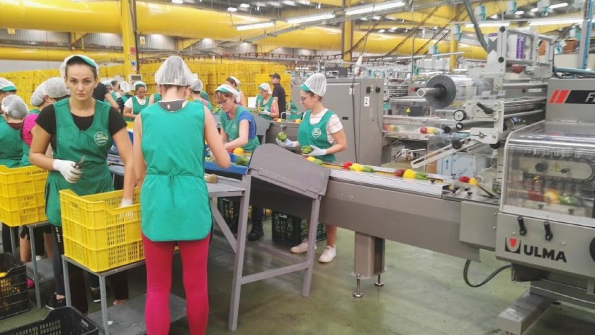 57.249 personas aún no tienen un trabajo.