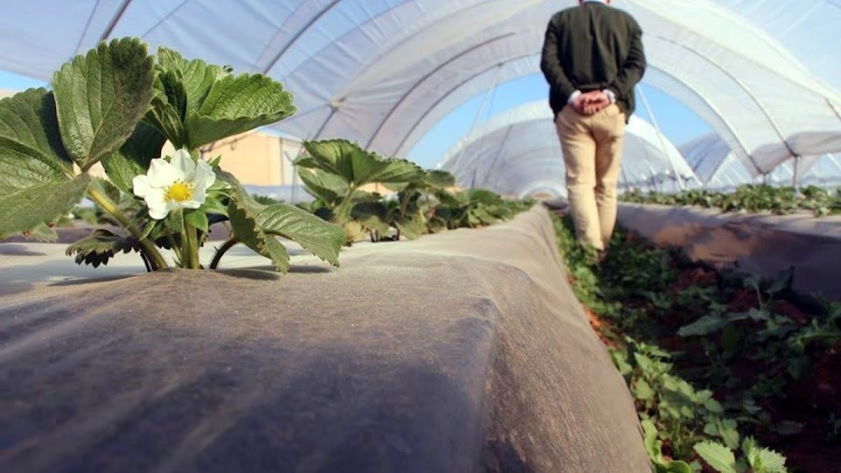 Haciendas Bio en Almería dedicada a la producción ecológica.