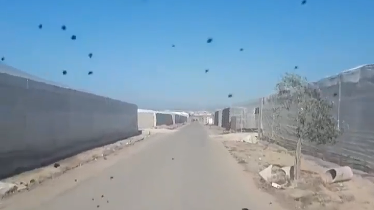 Imagen compartida por Peinado en Instagram entre invernaderos.