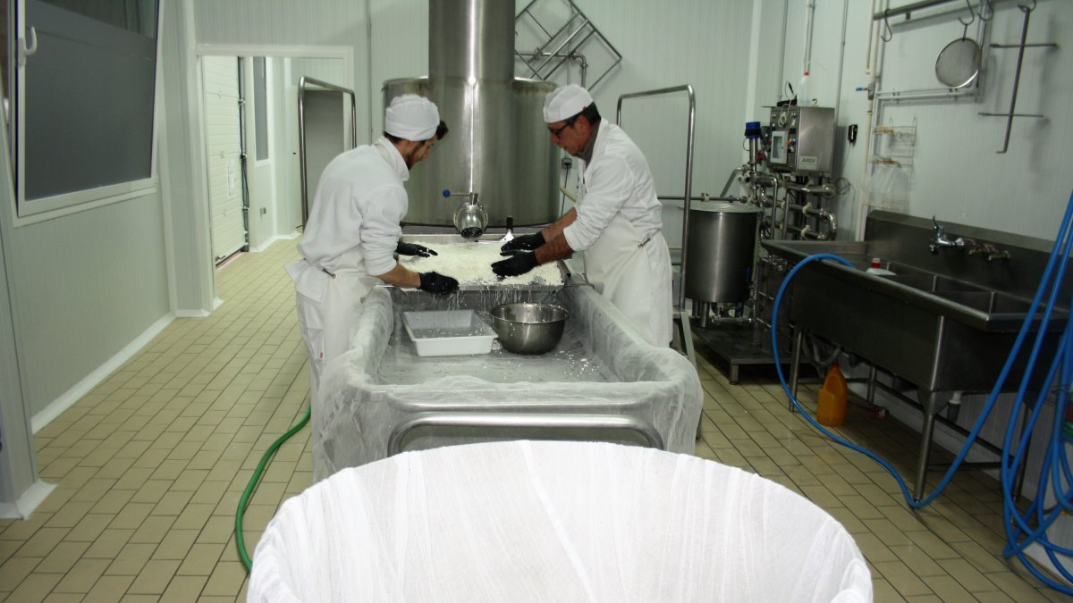 Un momento de la elaboración del queso, con el molde gigante en primer plano.