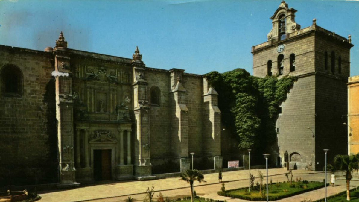 Zona de ajardinamiento de la plaza de la Catedral.