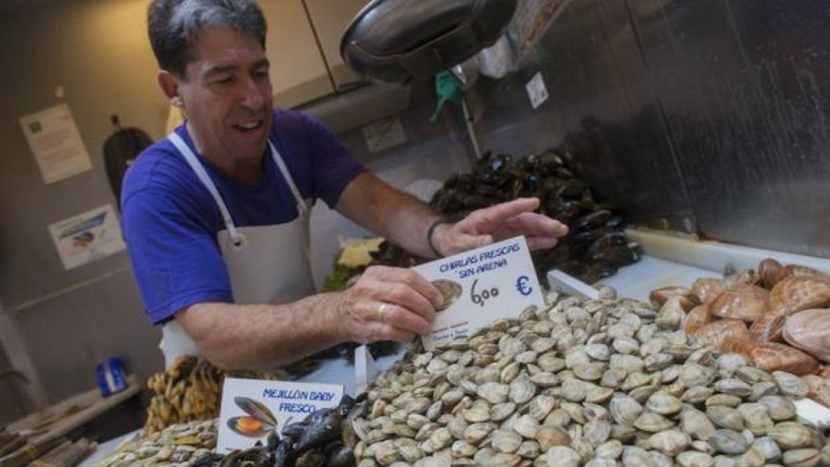 Puesto de almeja chirla en un mercado de abastos.