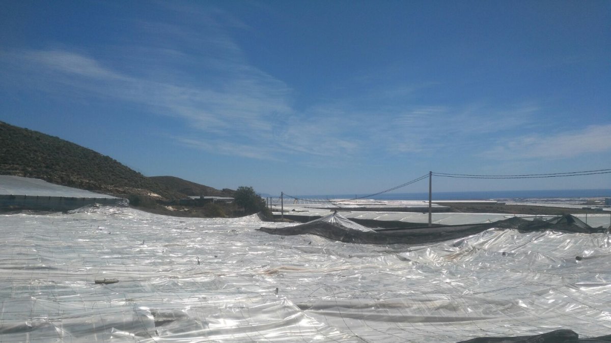 Daños causados por el granizo en La Mojonera en 2018