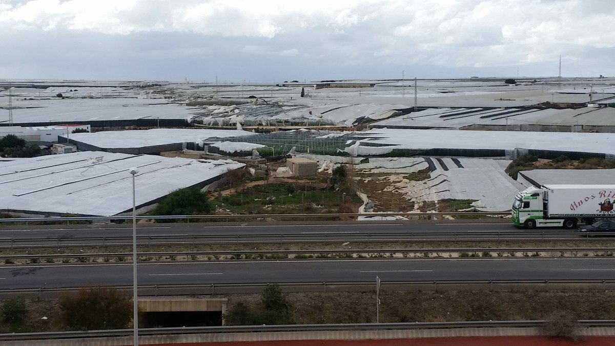 Efectos del tornado que afectó al Poniente el año pasado