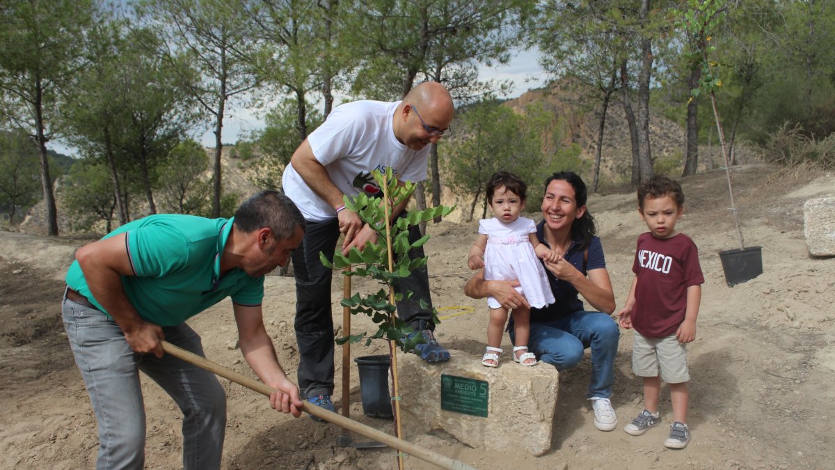 Fotografía de la primera plantación realizada el año pasado.