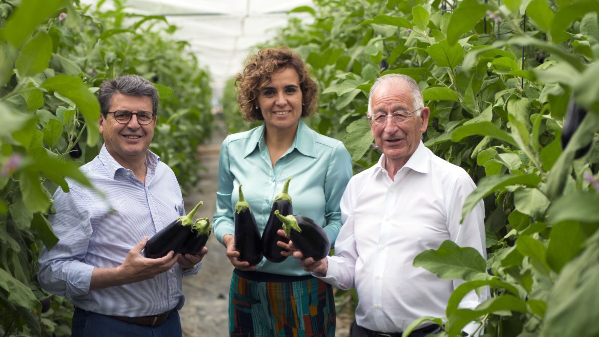 Dolors Montserrat junto al  candidato Popular a la reelección, Gabriel Amat, y el Diputado, Juan José Matarí.