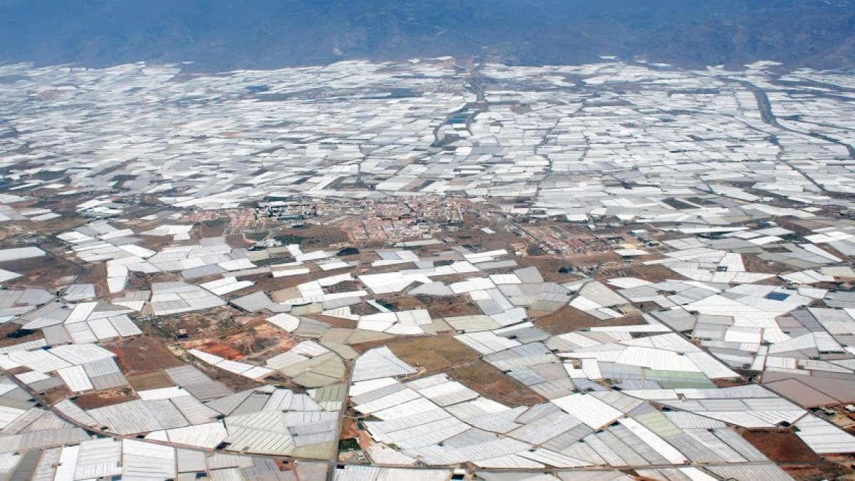 Panorámica de invernaderos en el campo almeriense.