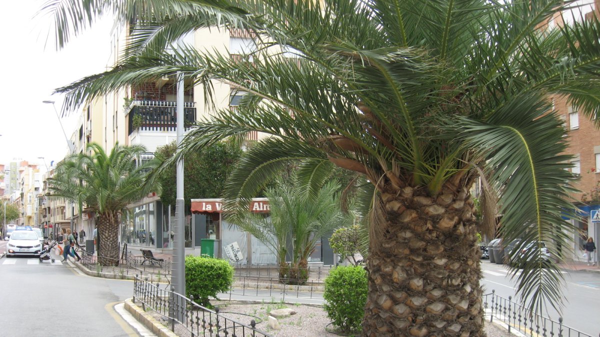 Plaza San Juan Bosco