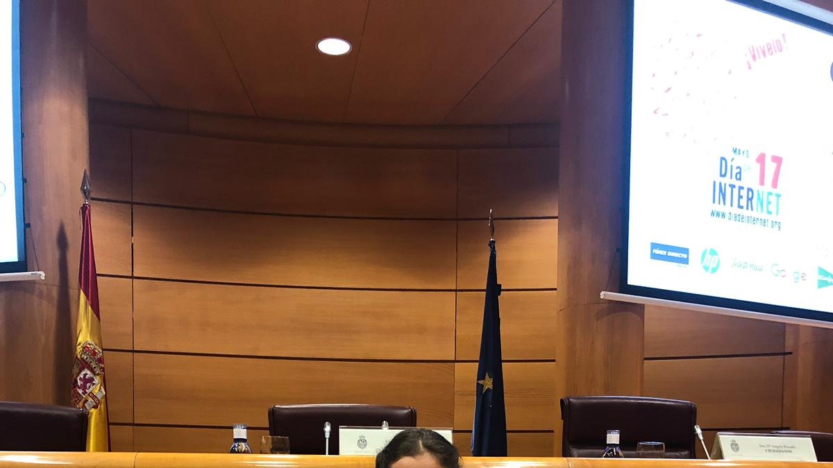 María Rumi Rosa, en el Senado.