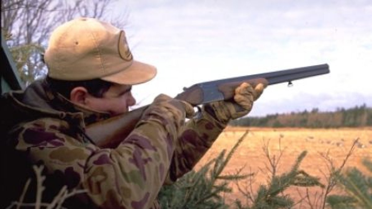 La oferta corresponde a la temporada 2019-2020.