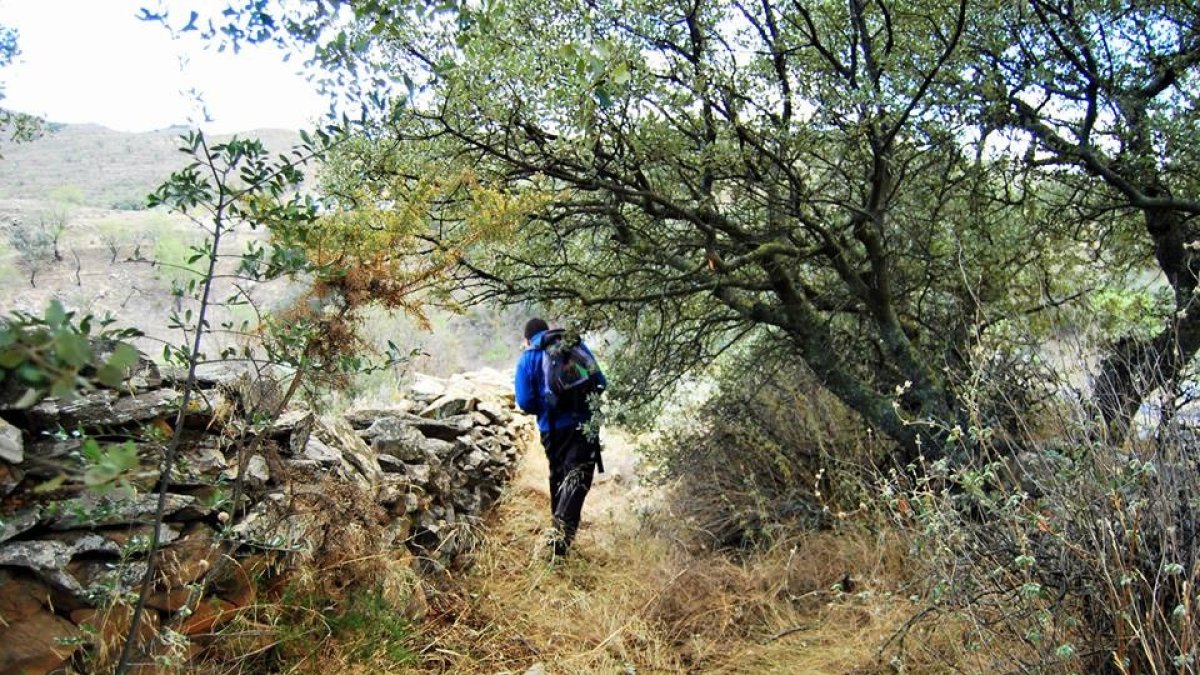 Fotografía cedida por ‘Acción por Almería’ de uno de los senderos que pretende recuperar.