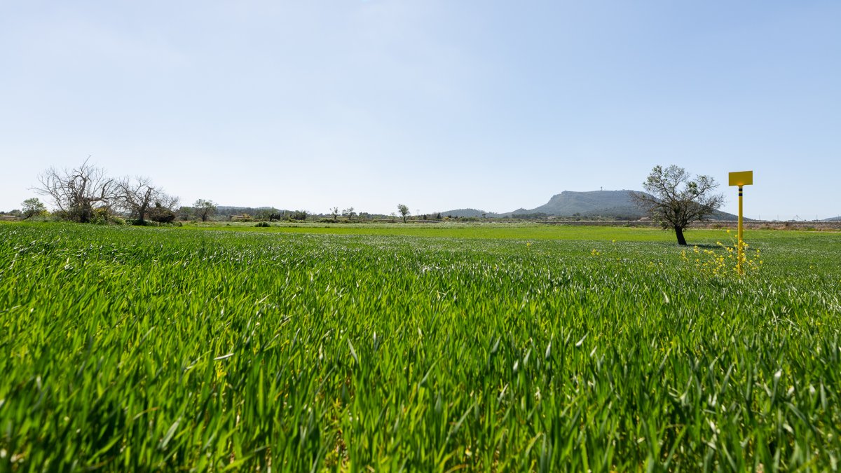 SOSTENIBILIDAD Redexis trabaja por un aire más limpio en la provincia gracias al gas natural.