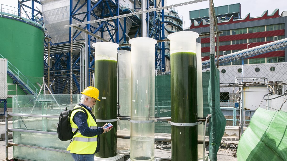La central de Endesa en Carboneras ha puesto en marcha diversos proyectos para fomentar la sostenibilidad y el cuidado al medioambiente.