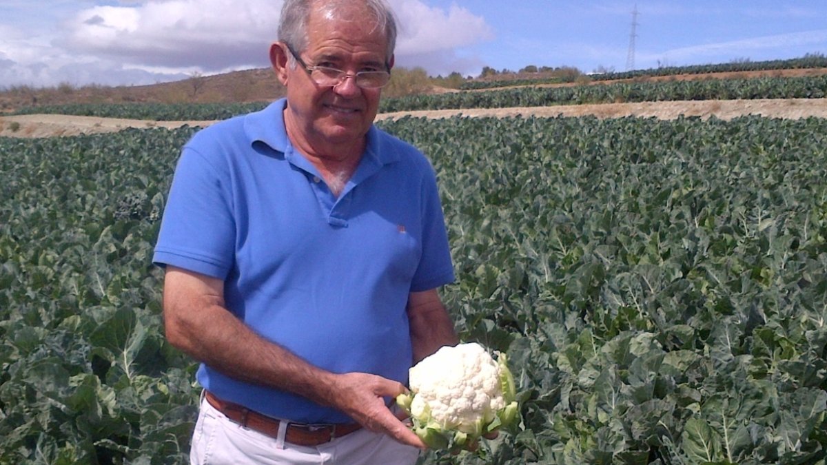 Pascual soler,  presidente de Tomasol, sostiene una coliflor.