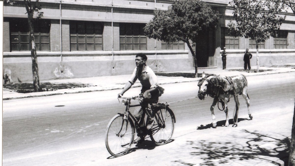 El recadero de la Renfe atravesando la Avenida de la Estación en bicicleta y con una burra atada
