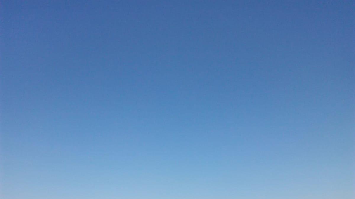 Limpieza de playa por internos.