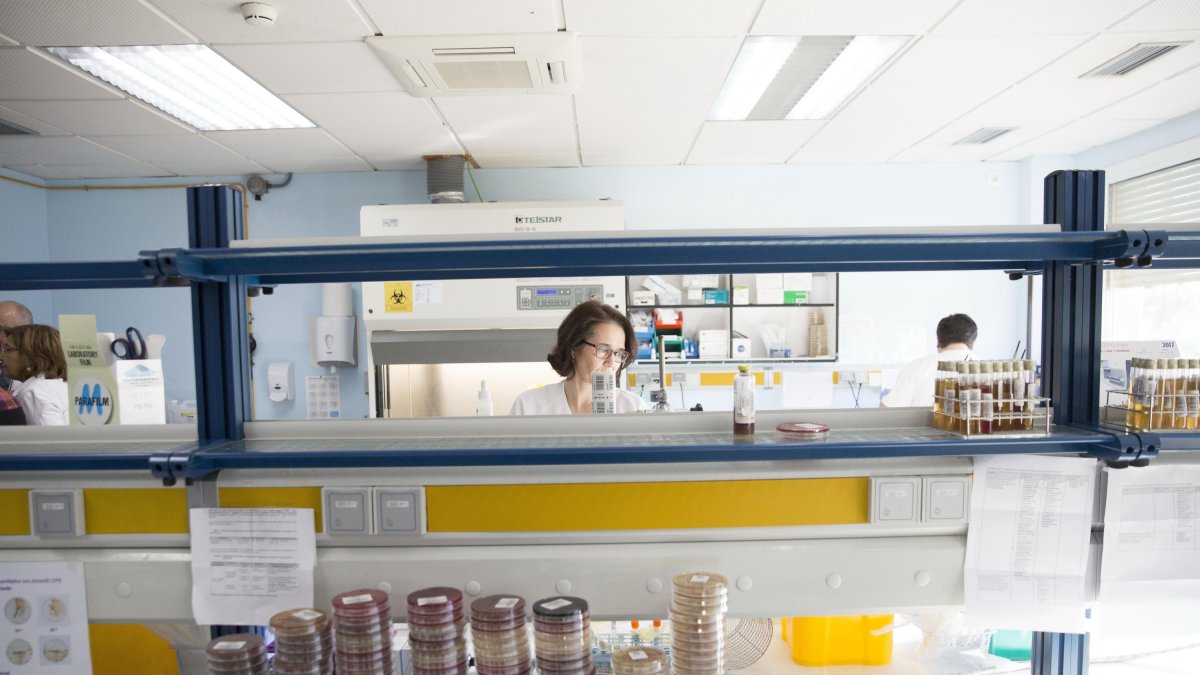 Laboratorio universitario.