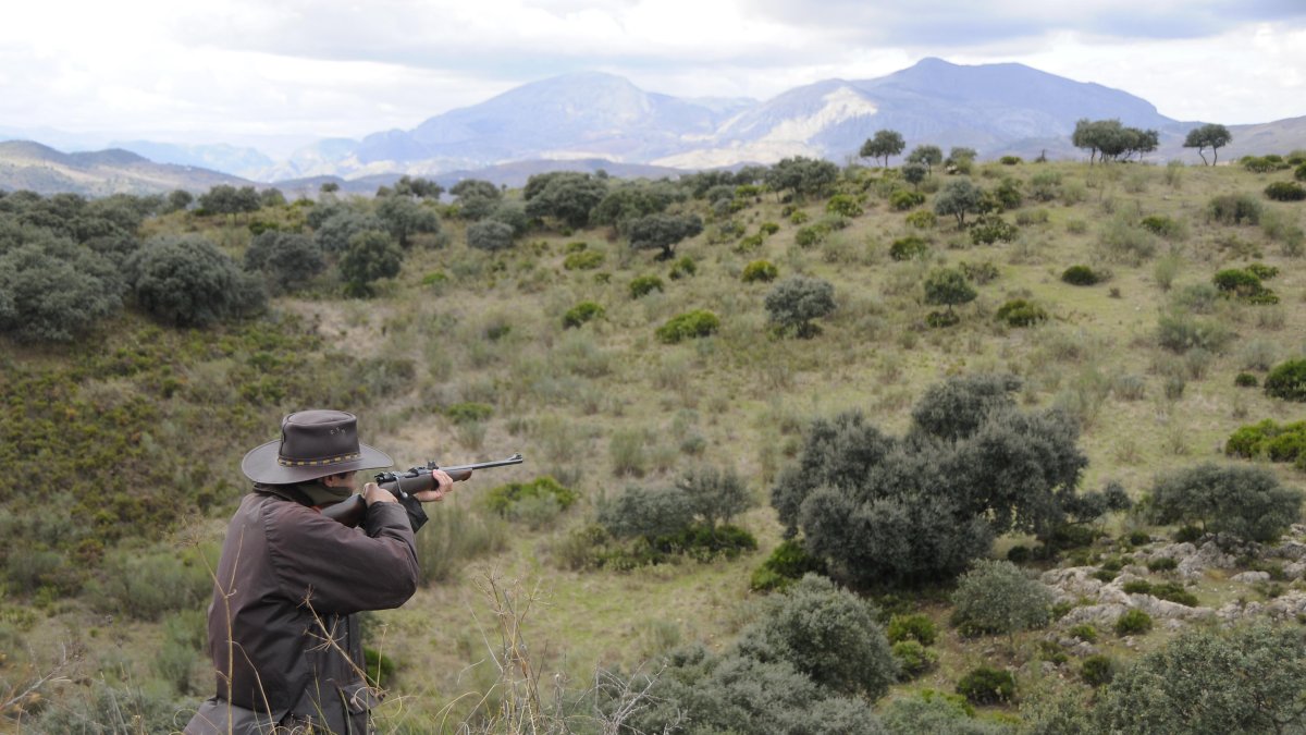 Ecologistas en Acción cree que la propuesta de Artemisian “tiene fines espurios”.