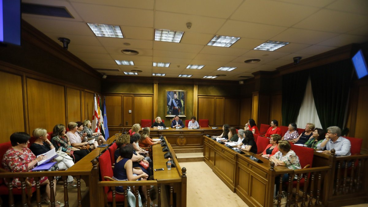 Último pleno del Consejo de Mujeres celebrado este miércoles.