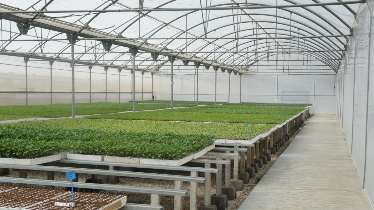 Producción ecológica en Almería.