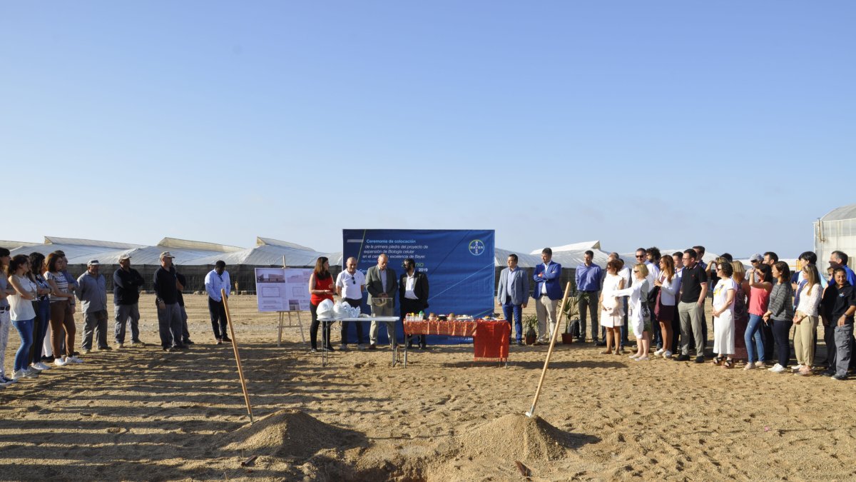 Terrenos donde se levantarán las nuevas instalaciones