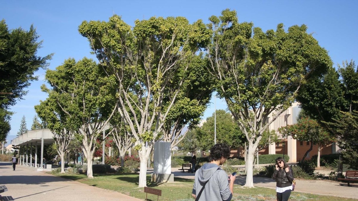 Campus de la Universidad de Almería.