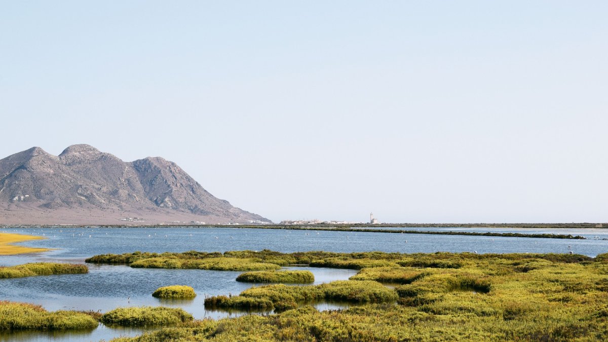 Las Salinas de Cabo de Gata, una de sus postales más características.