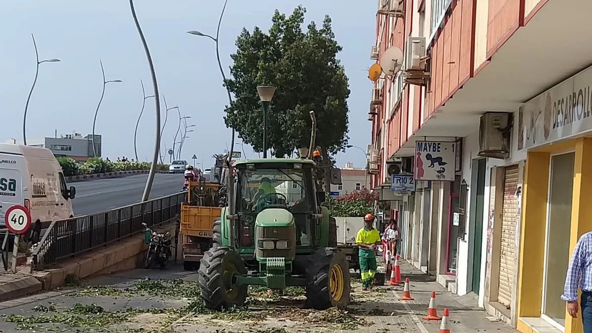 Tala en marcha junto a la Avenida del Mediterráneo