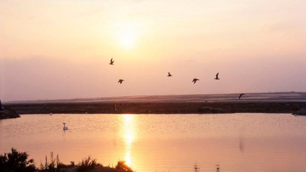 La riqueza natural de este enclave es única.