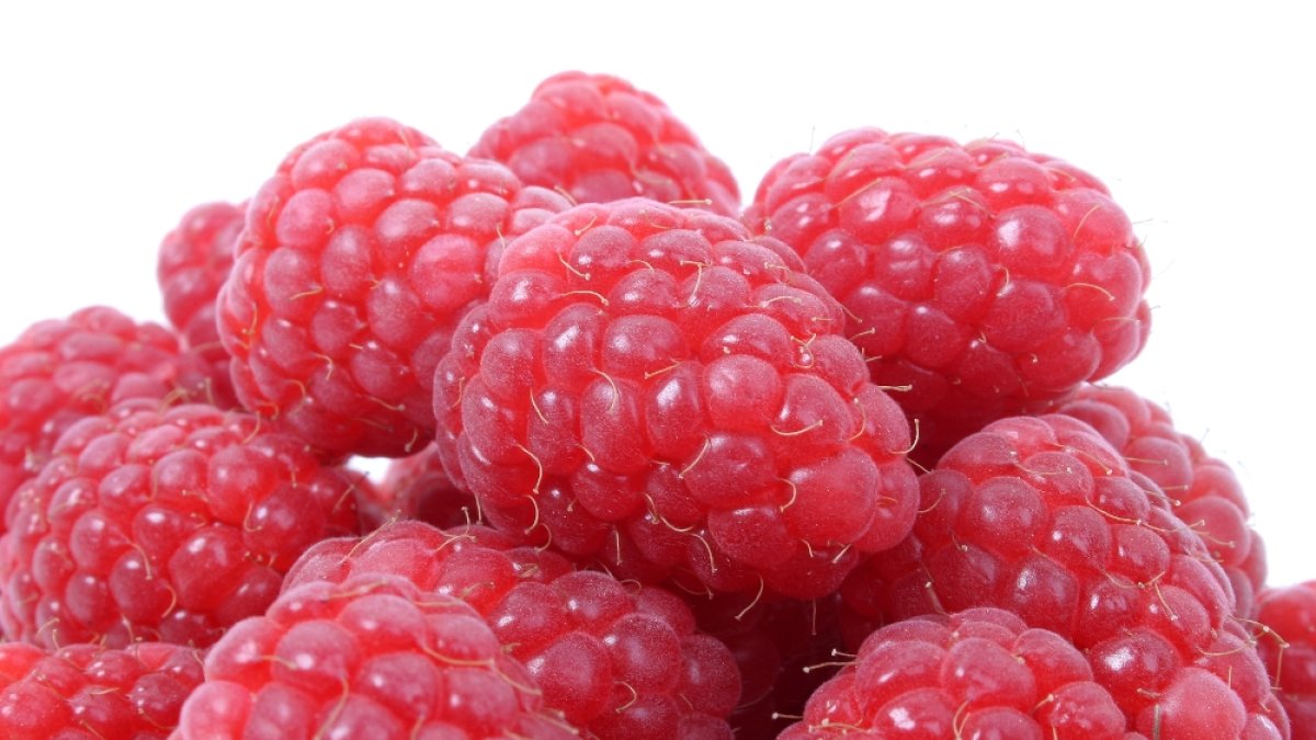 Almería lidera las exportaciones andaluzas.