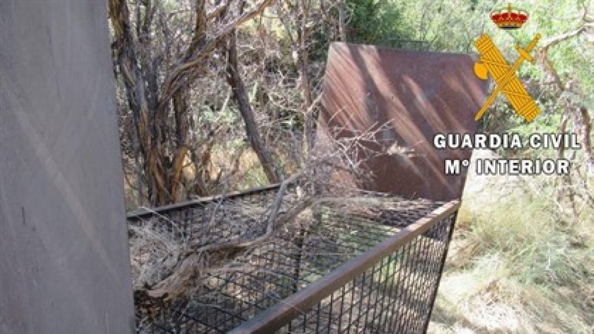Jaula trampa preparada para la captura de grandes especímenes en parque Sierra Nevada