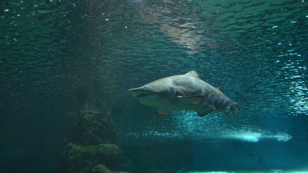 Se trata de uno de los lugares más singulares de la provincia de Almería.