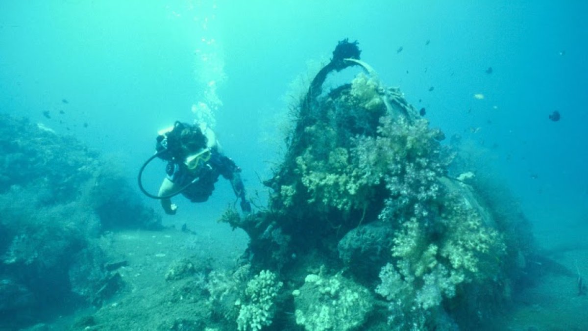 Los fondos marinos de Cabo de Gata son bellísimos.