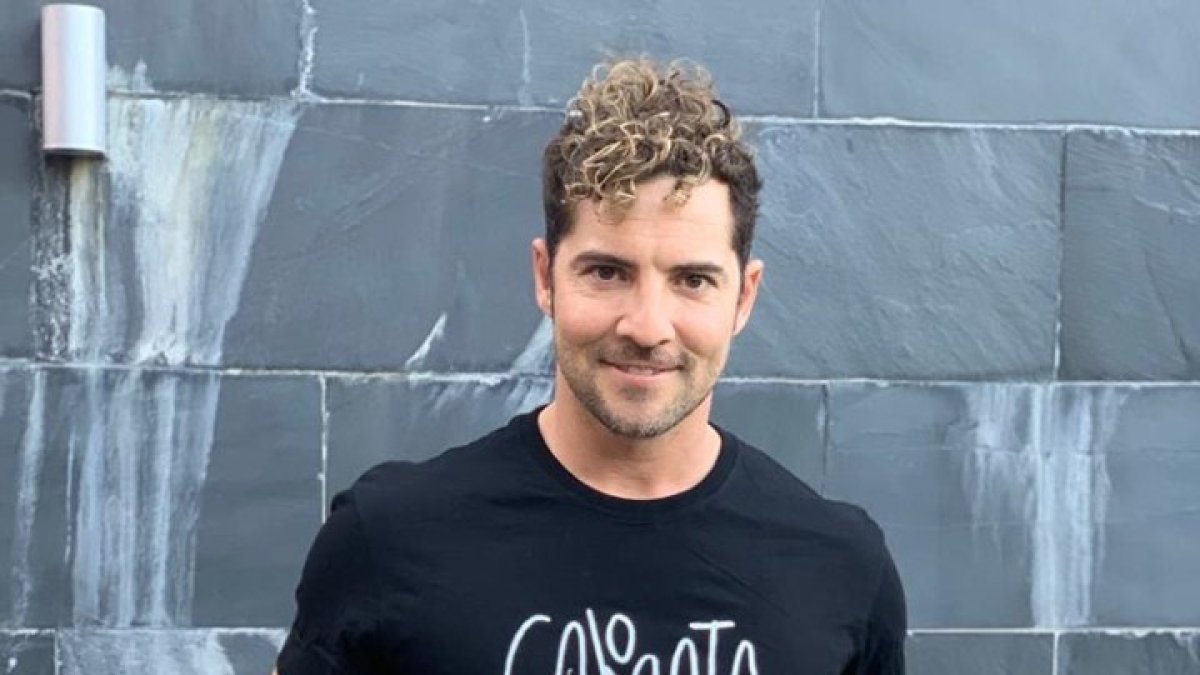 David Bisbal ha apoyado al colectivo luciendo sus camisetas.