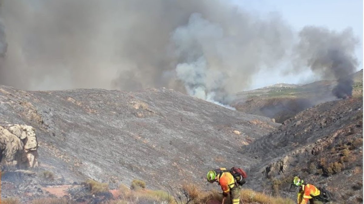 El personal de Infoca trabajando en la zona afectada hace unos días.