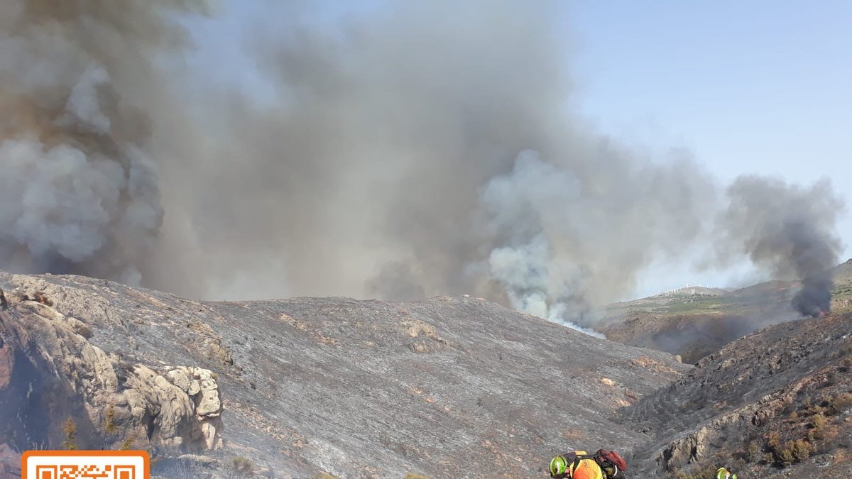 efectivos del infoca lucharon contrar las llamas el pasado fin de semana en la provincia de Almería.