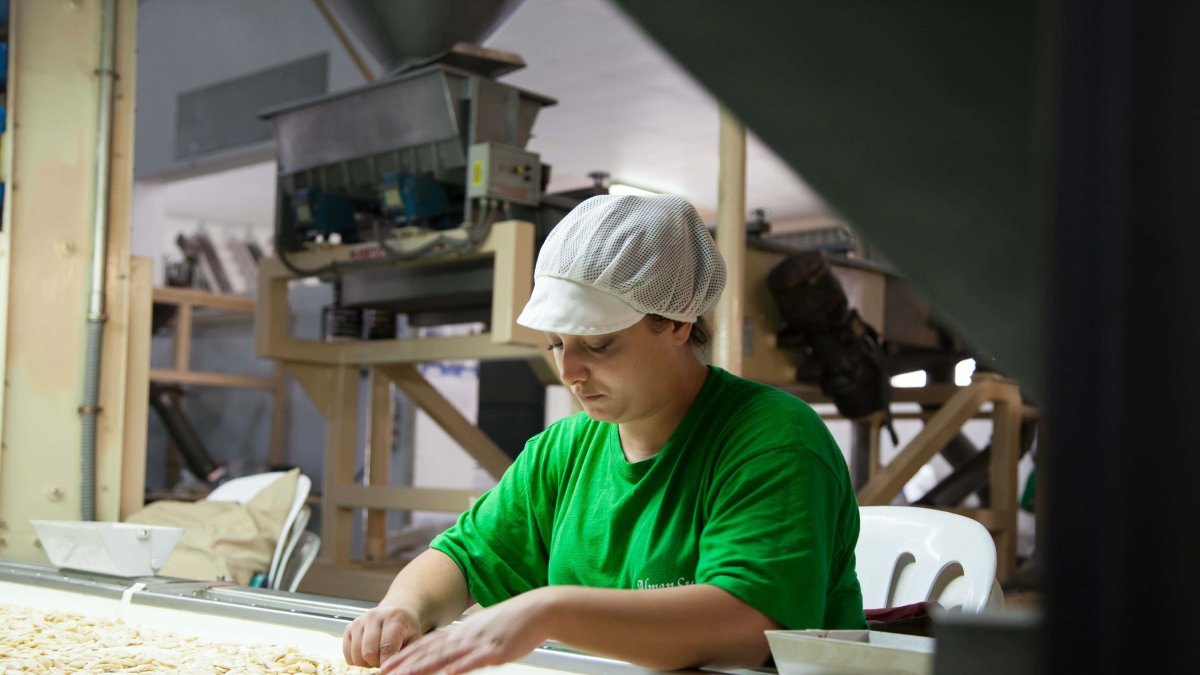 Manipulado en las instalaciones de Almendrera del Sur