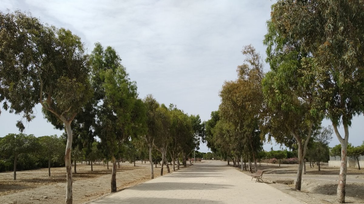 Camino principal del parque