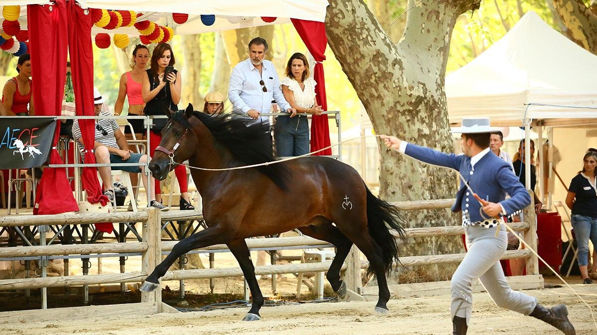 El huercalense Juan Manuel Castillo durante su participación en el Campeonato de Francia en el que su equipo logró numerosos éxitos.