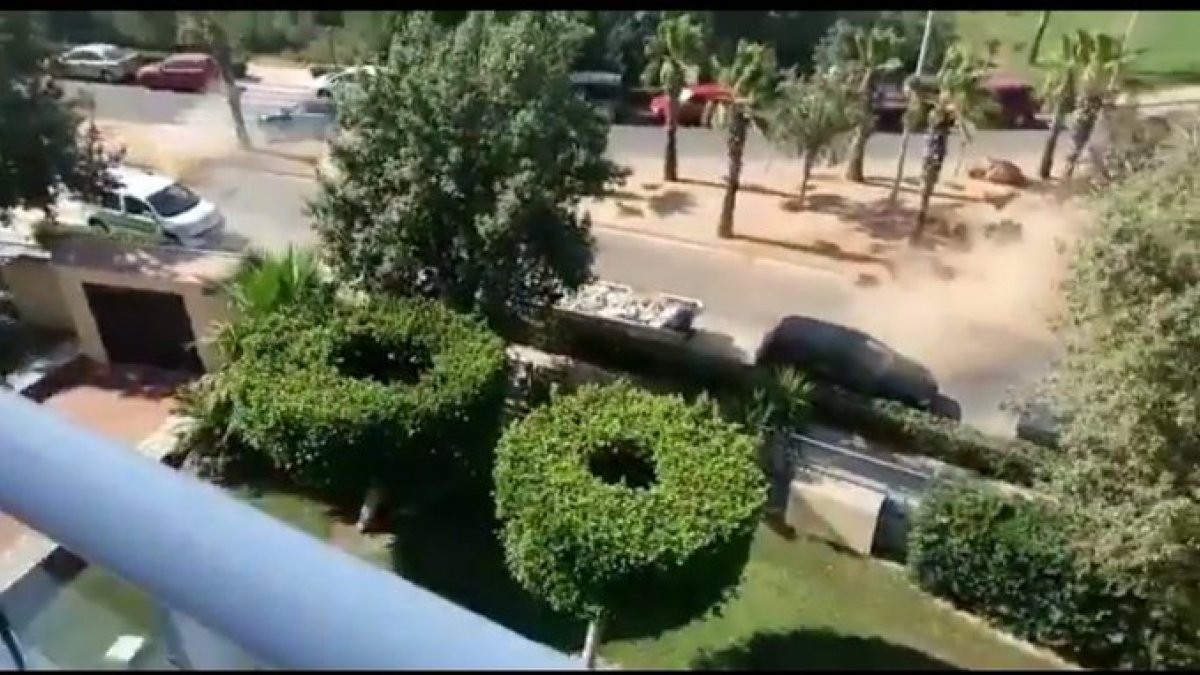 Captura del vídeo que puede verse en la cuenta de Twitter de la Policía Local de El Ejido.