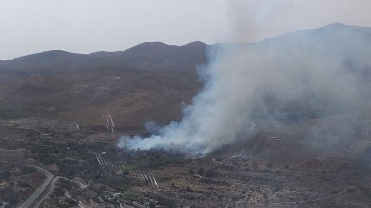 Imagen del incendio publicada por Infoca en su cuenta de Twitter: @Plan_INFOCA.