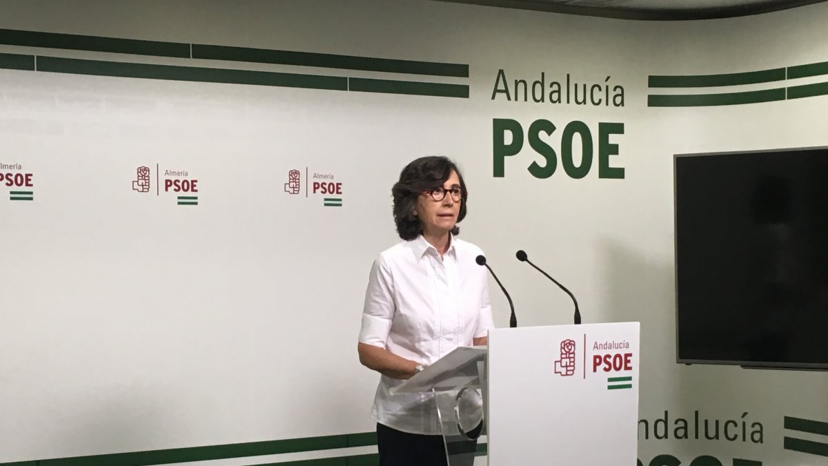 Rosa Aguilar, parlamentaria socialista, en la rueda de prensa de esta mañana.