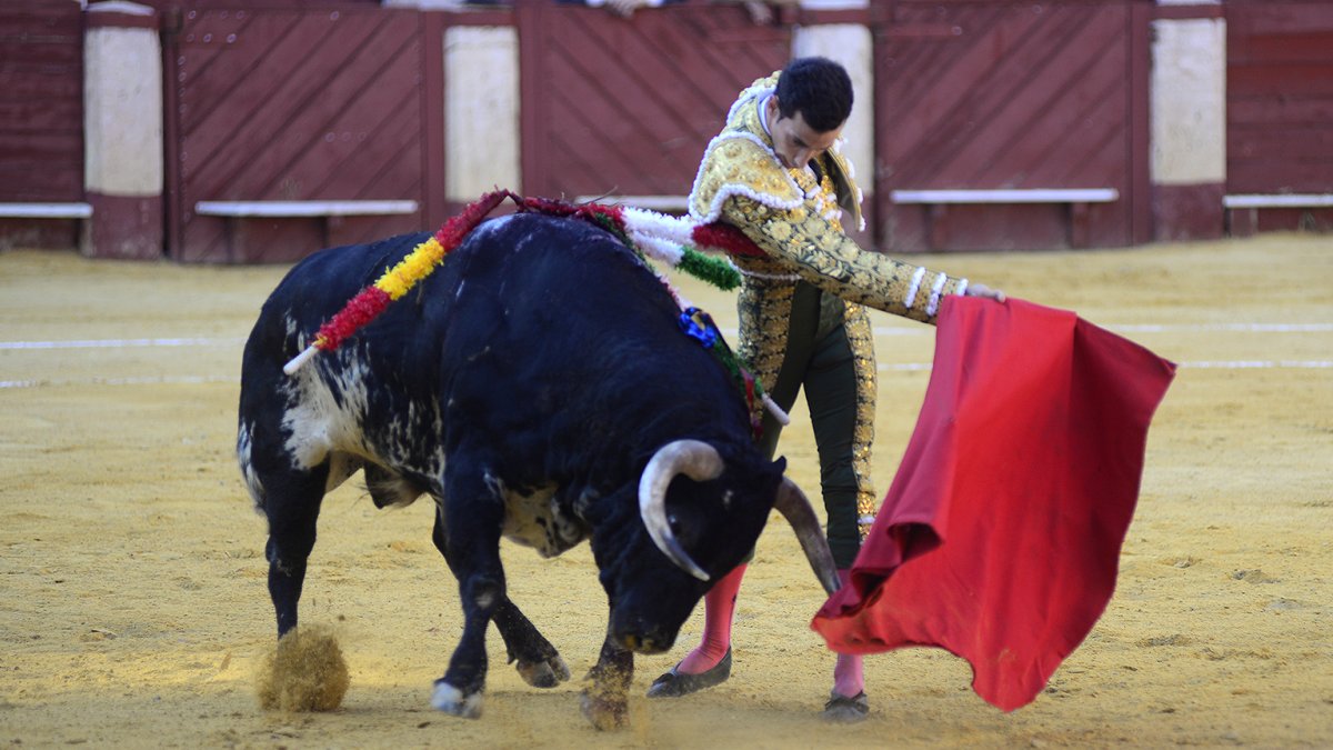 Pase de pecho de David de Miranda a un ejemplar de preciosa capa, muy en la línea de Torrestrella.