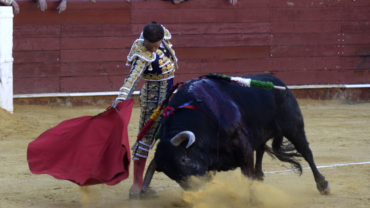 Antonio Ferrera está viviendo una especie de segunda etapa de su carrera taurina.
