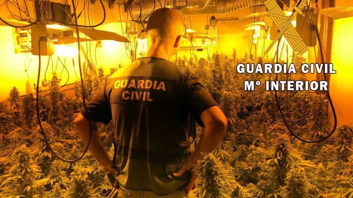 Imagen de archivo de un Guardia Civil en una plantación.