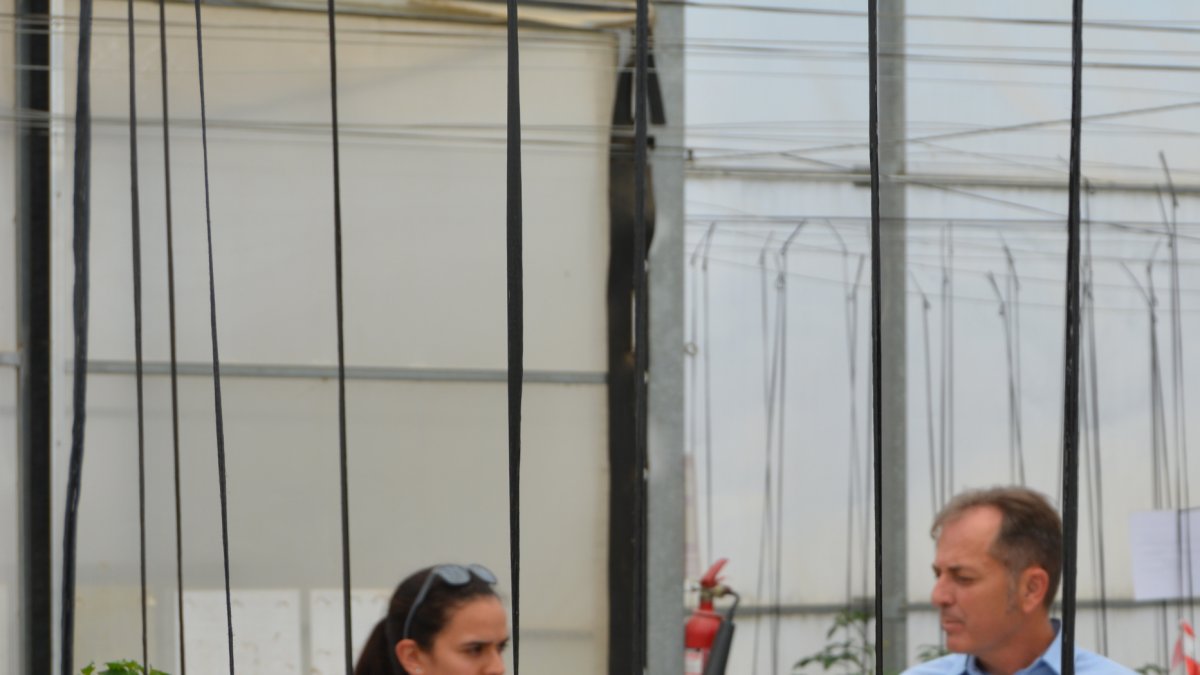 Los técnicos almerienses aportan experiencia en campo.