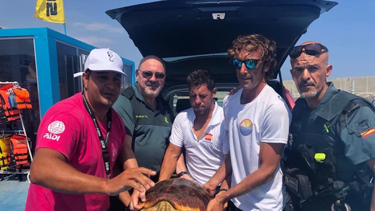 El equipo de rescate ha trasladado al animal al centro de recuperación.